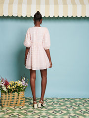 Rhubarb Sequin Mini Dress